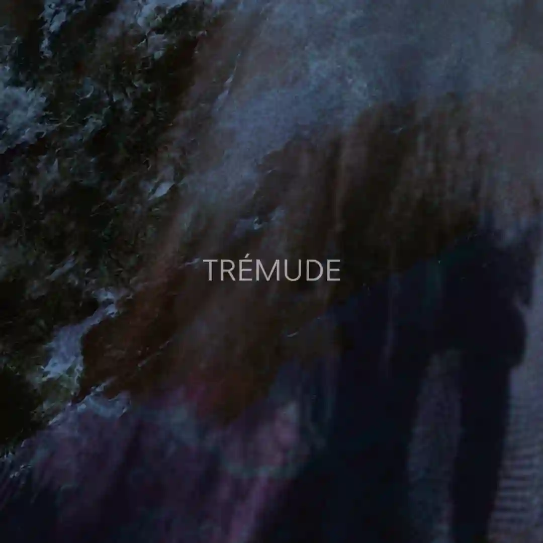 Trémude (Original Mix) cover