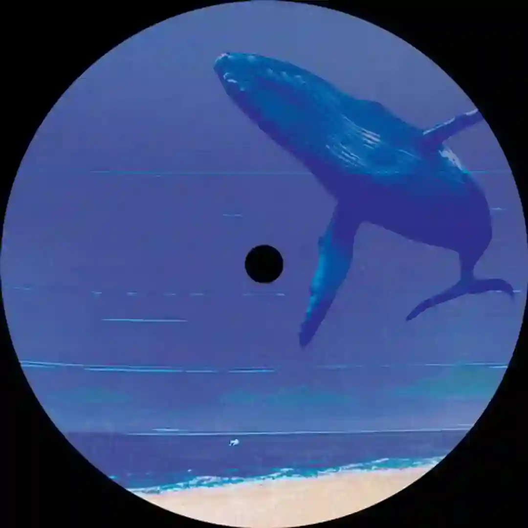 Sonic Signature (Original Mix) cover