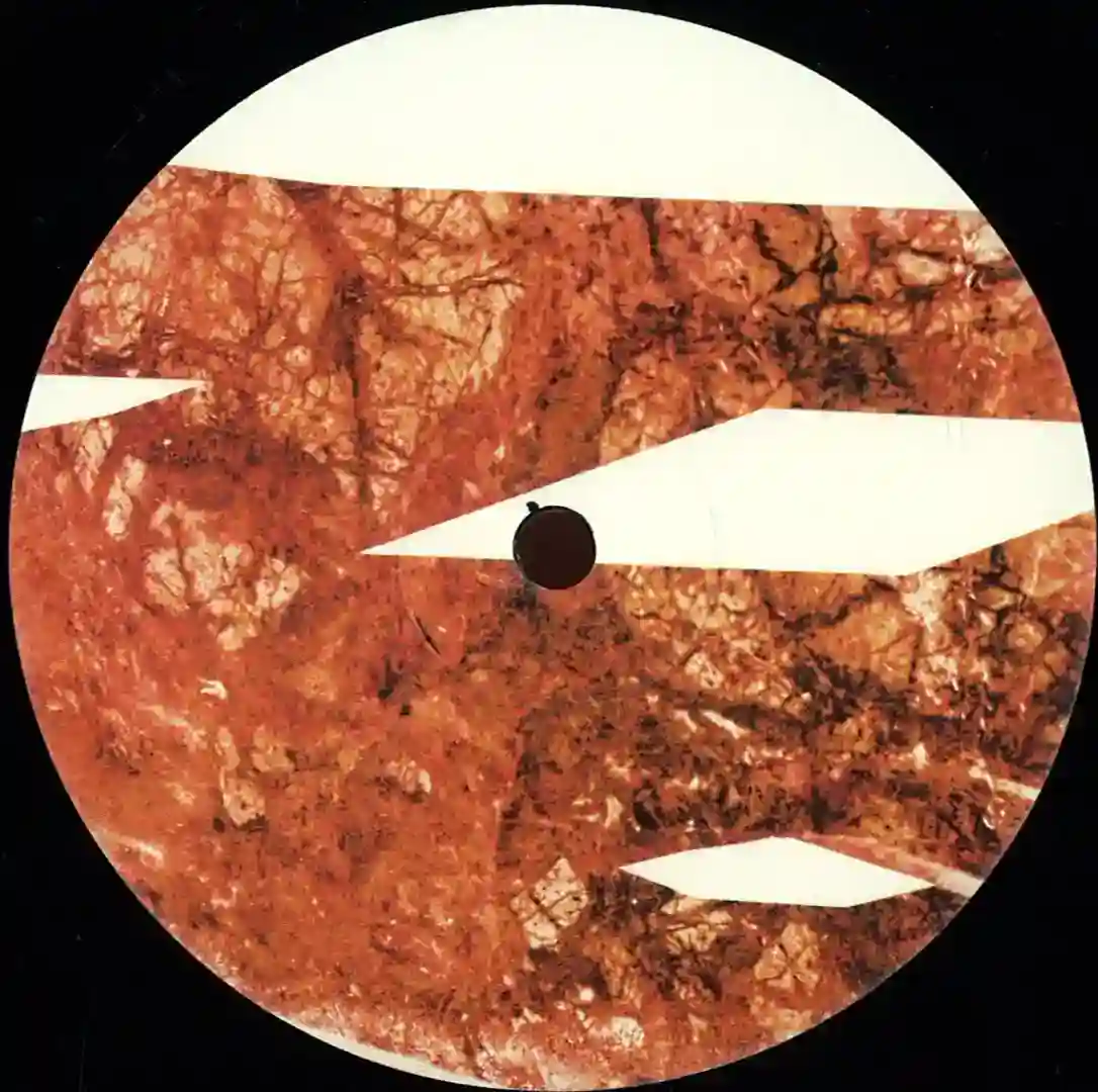 Border Drone cover