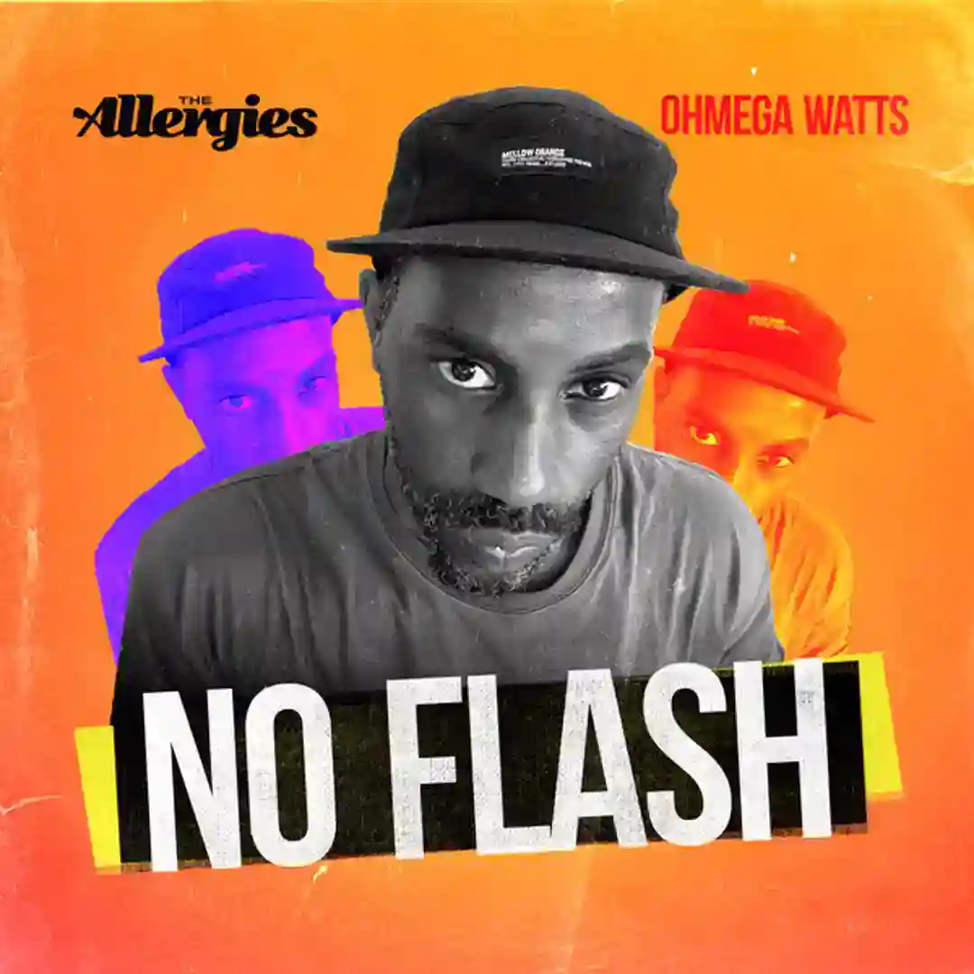 No Flash cover