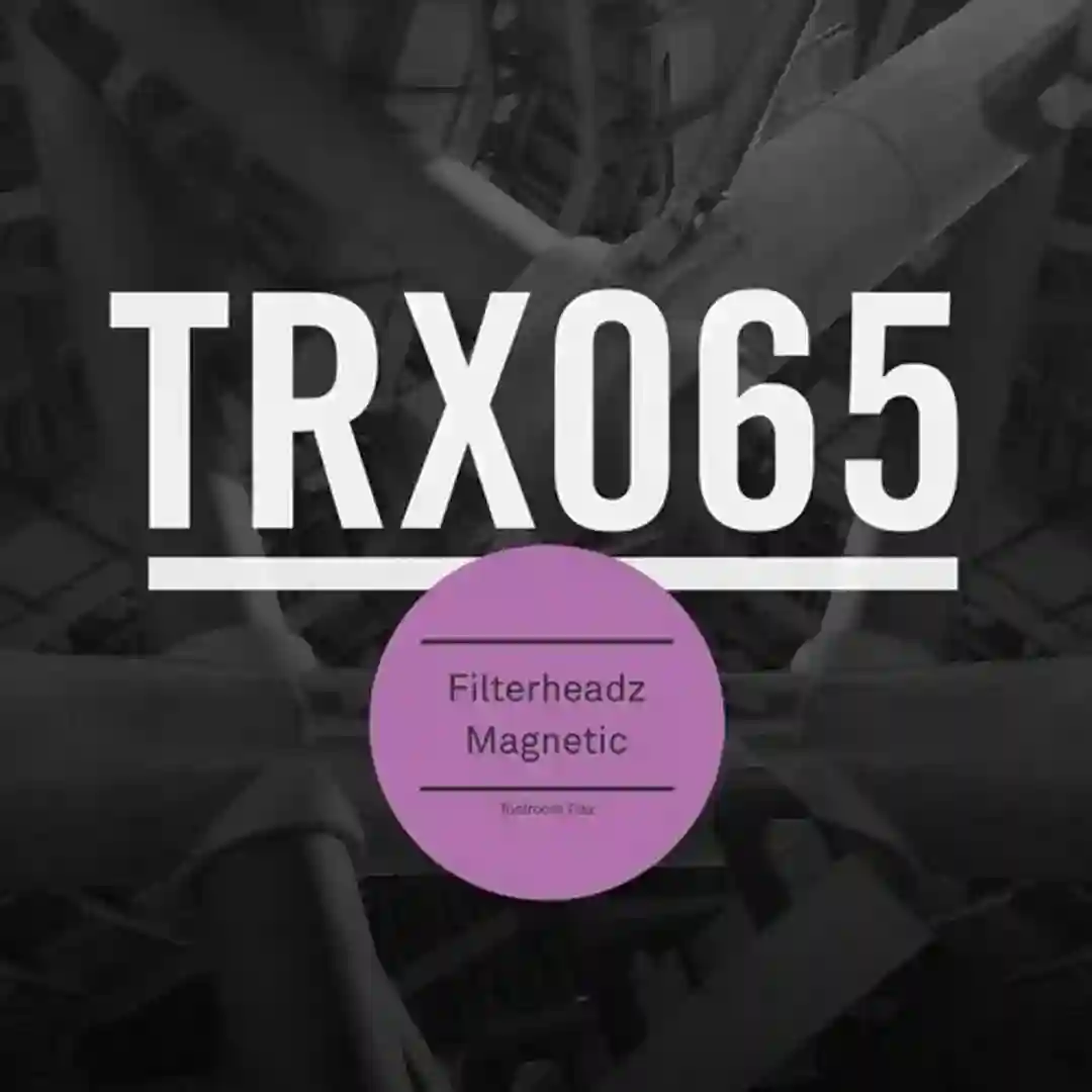 Skylight (Original Mix) cover