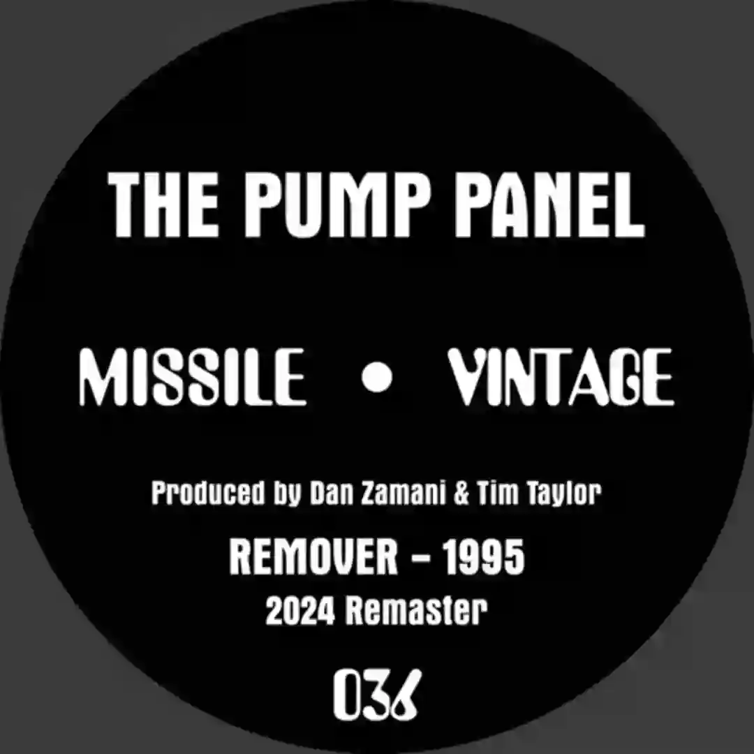 Remover (Fred Remix - 2024 Remaster) cover