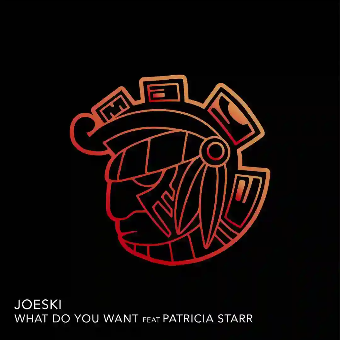 What Do You Want feat. Patricia Starr cover