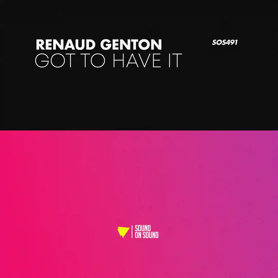 Got To Have It (Extended Mix) cover
