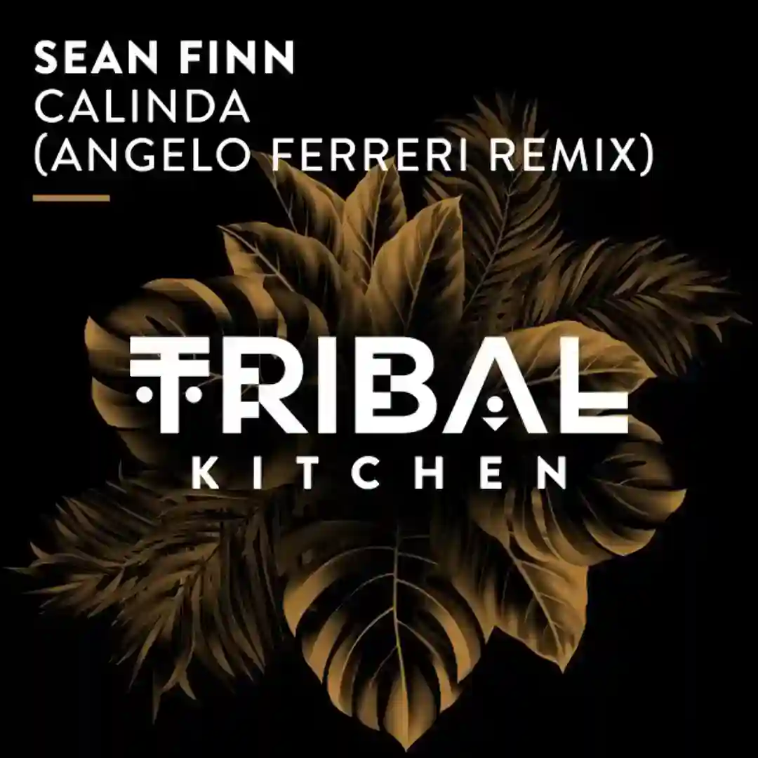 Calinda (Angelo Ferreri Extended Remix) cover