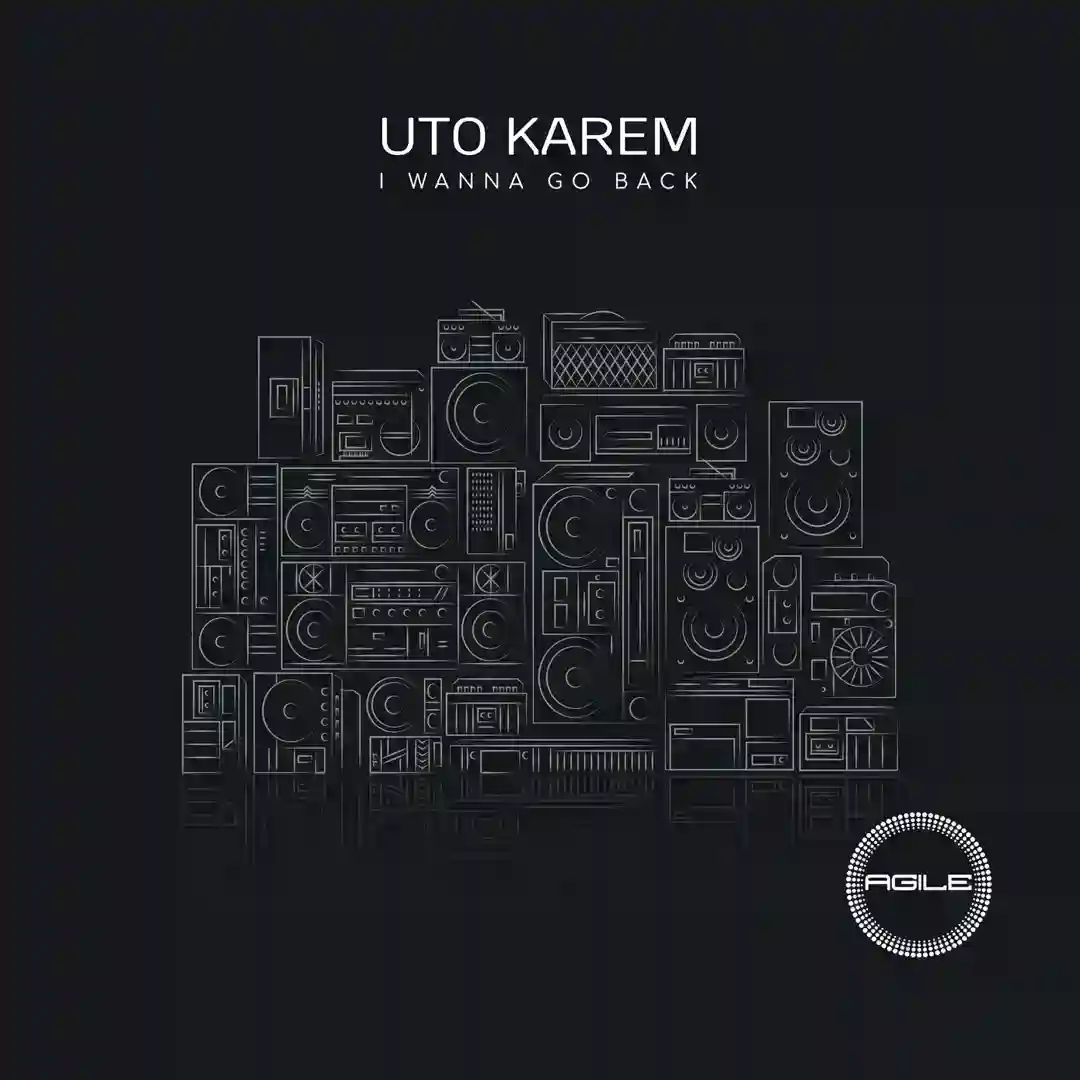 I Wanna Go Back cover