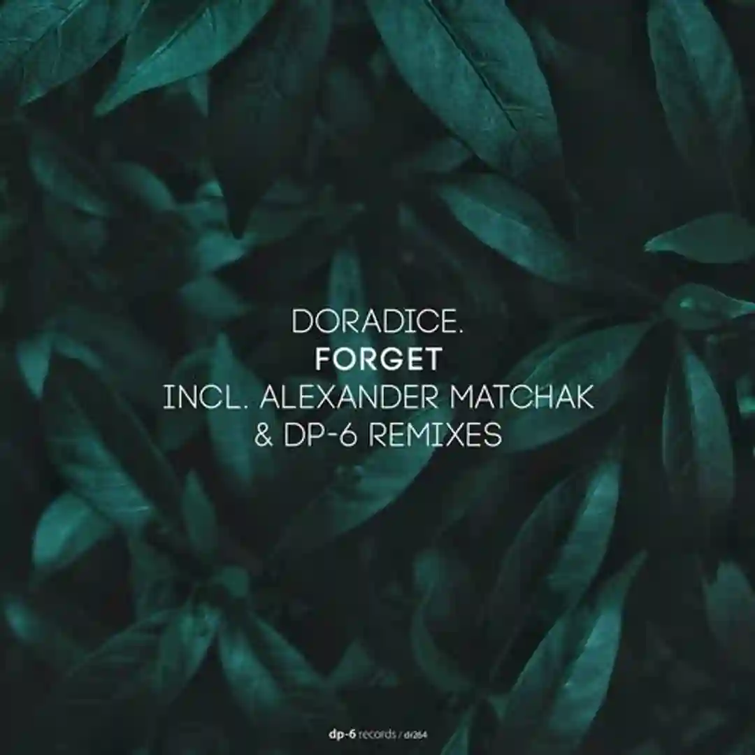 Forget (Alexander Matchak Remix) cover