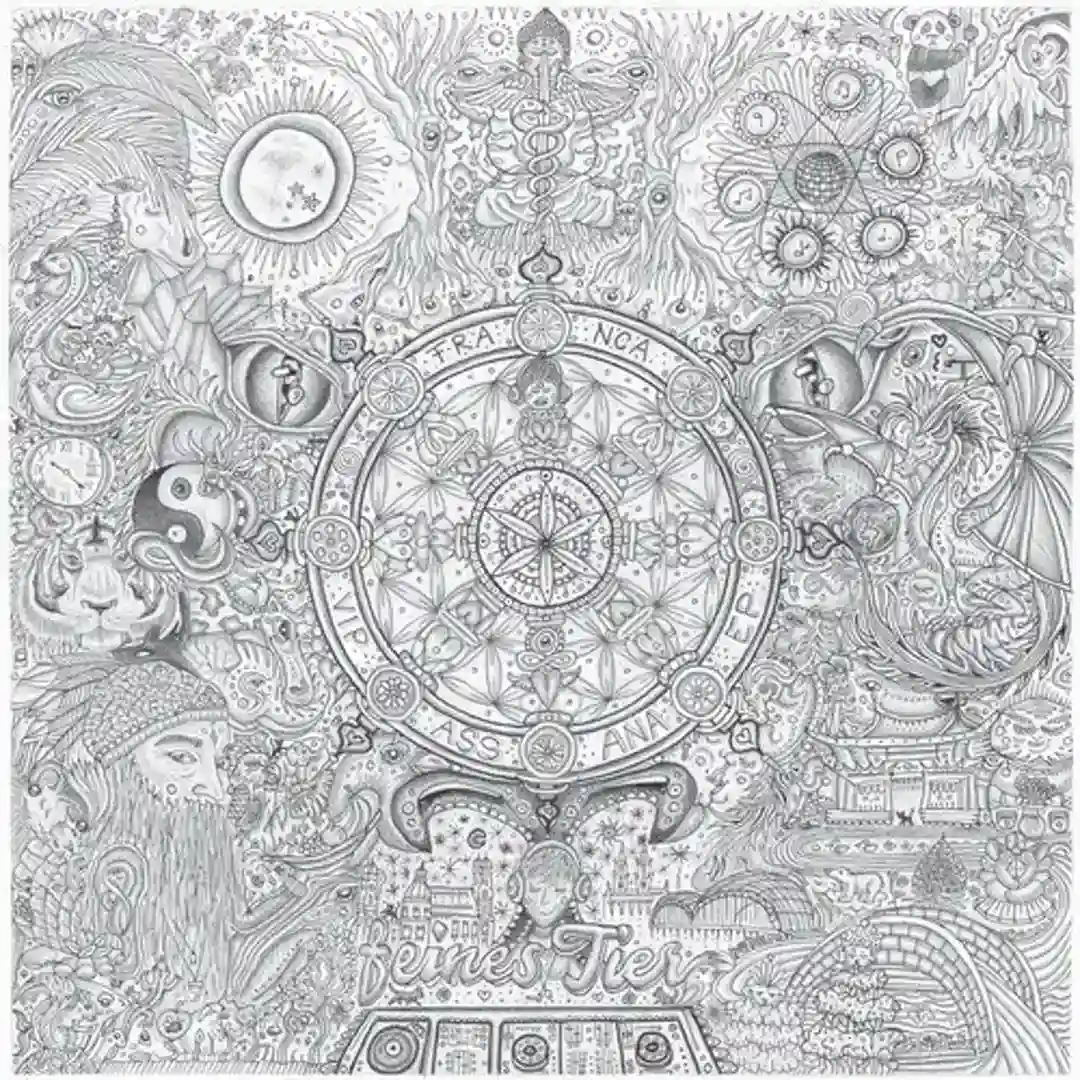 No Solidity (Original Mix) cover