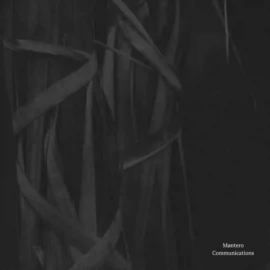 Communication 11 (Translate Remix) cover