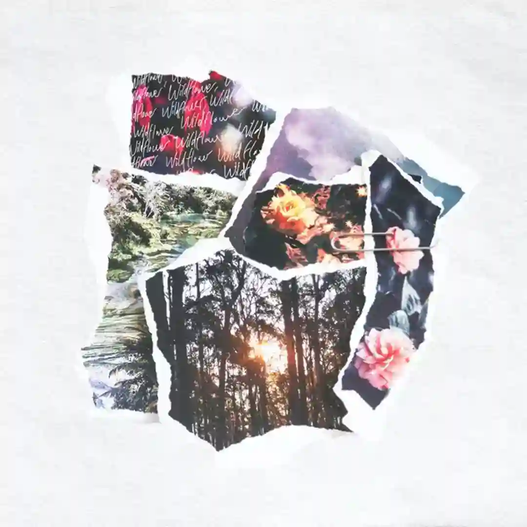 Wildflower cover