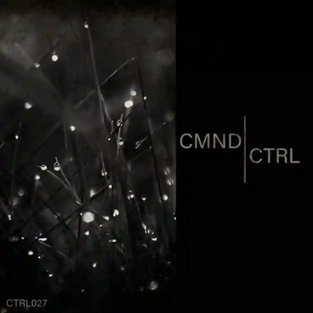 Focus (Amorphic Reshape) cover