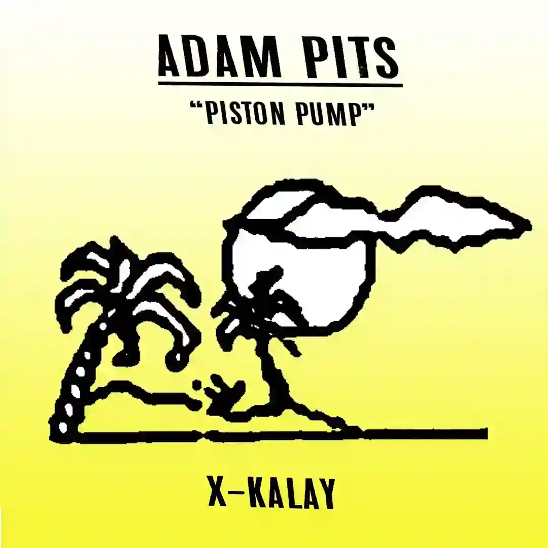 Piston Pump cover