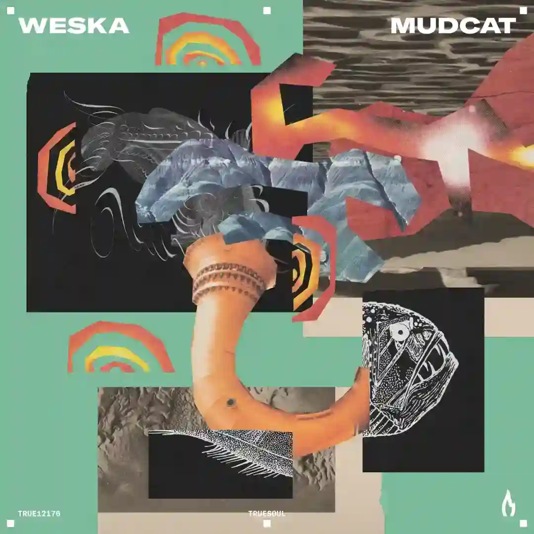 Mudcat (Original Mix) cover