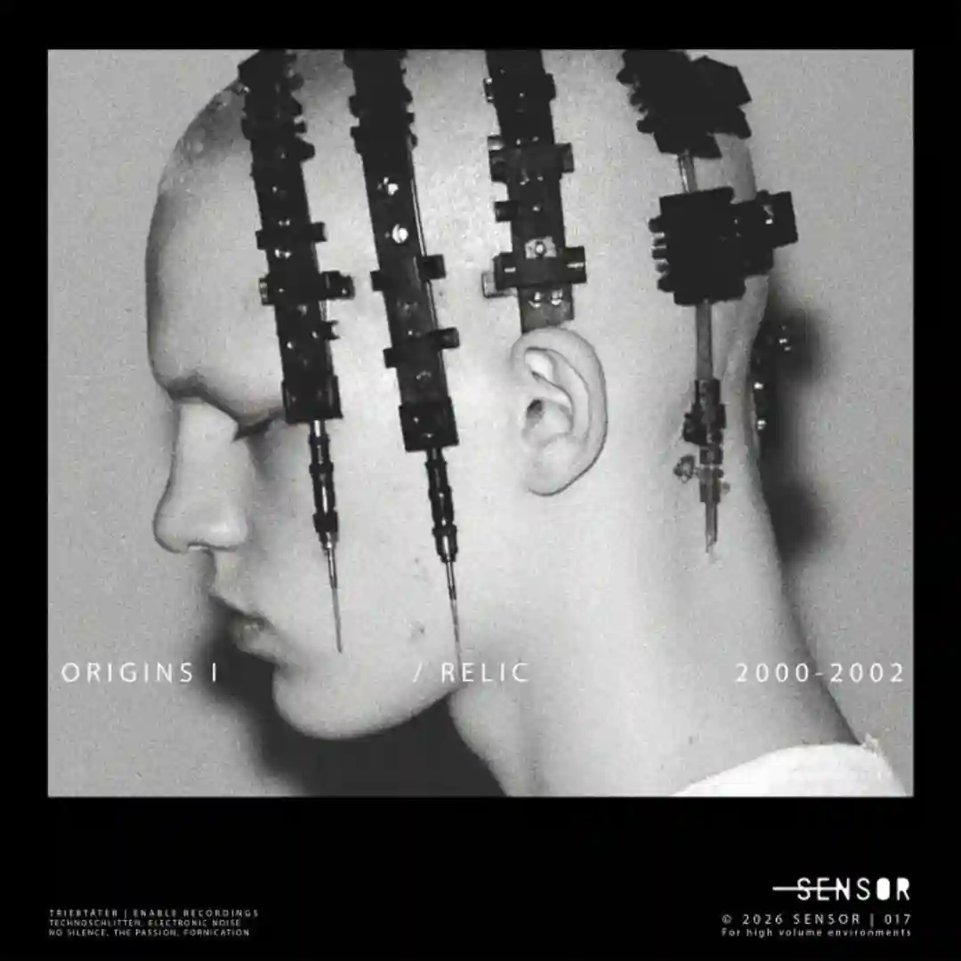 Fornication Ⅲ (2026 Remaster) cover