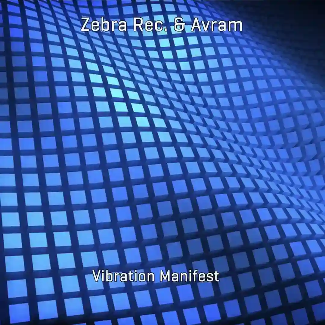 Micro Frequencies cover