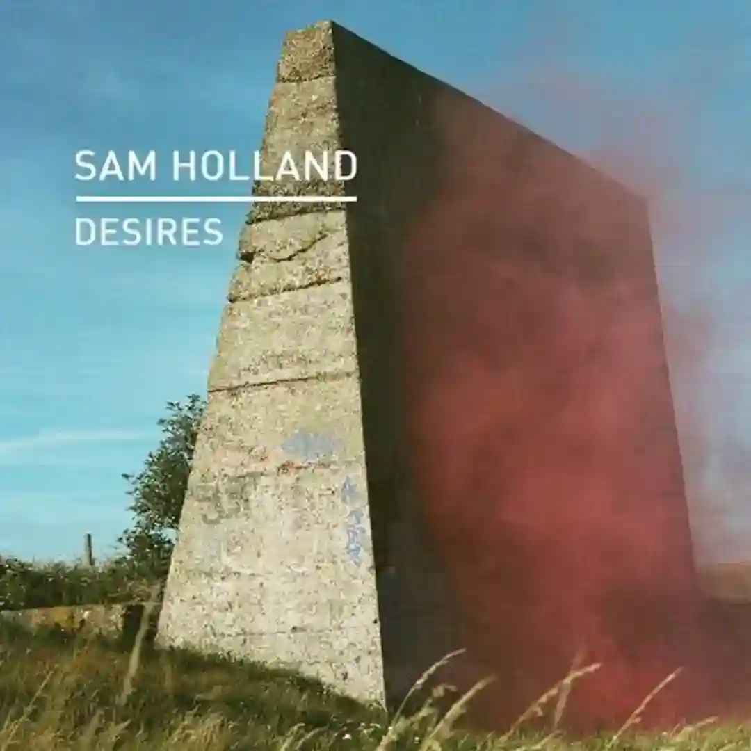 Desires cover