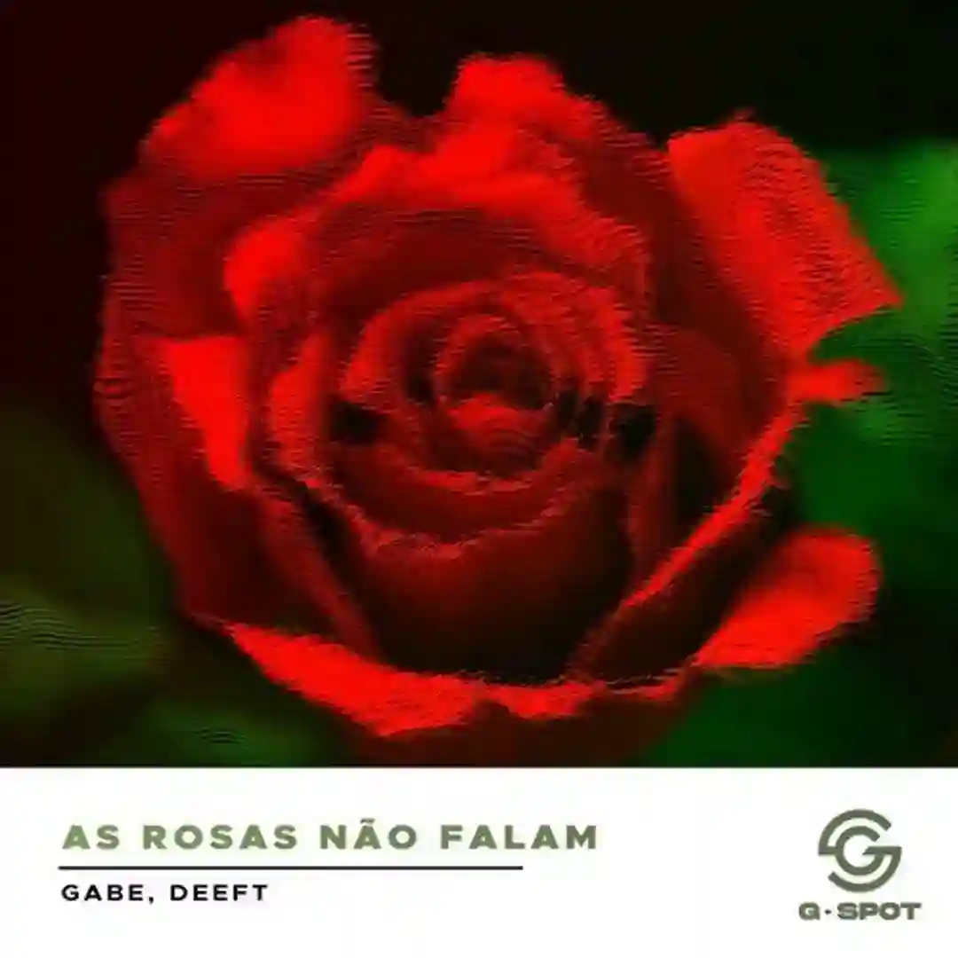 As Rosas Não Falam cover