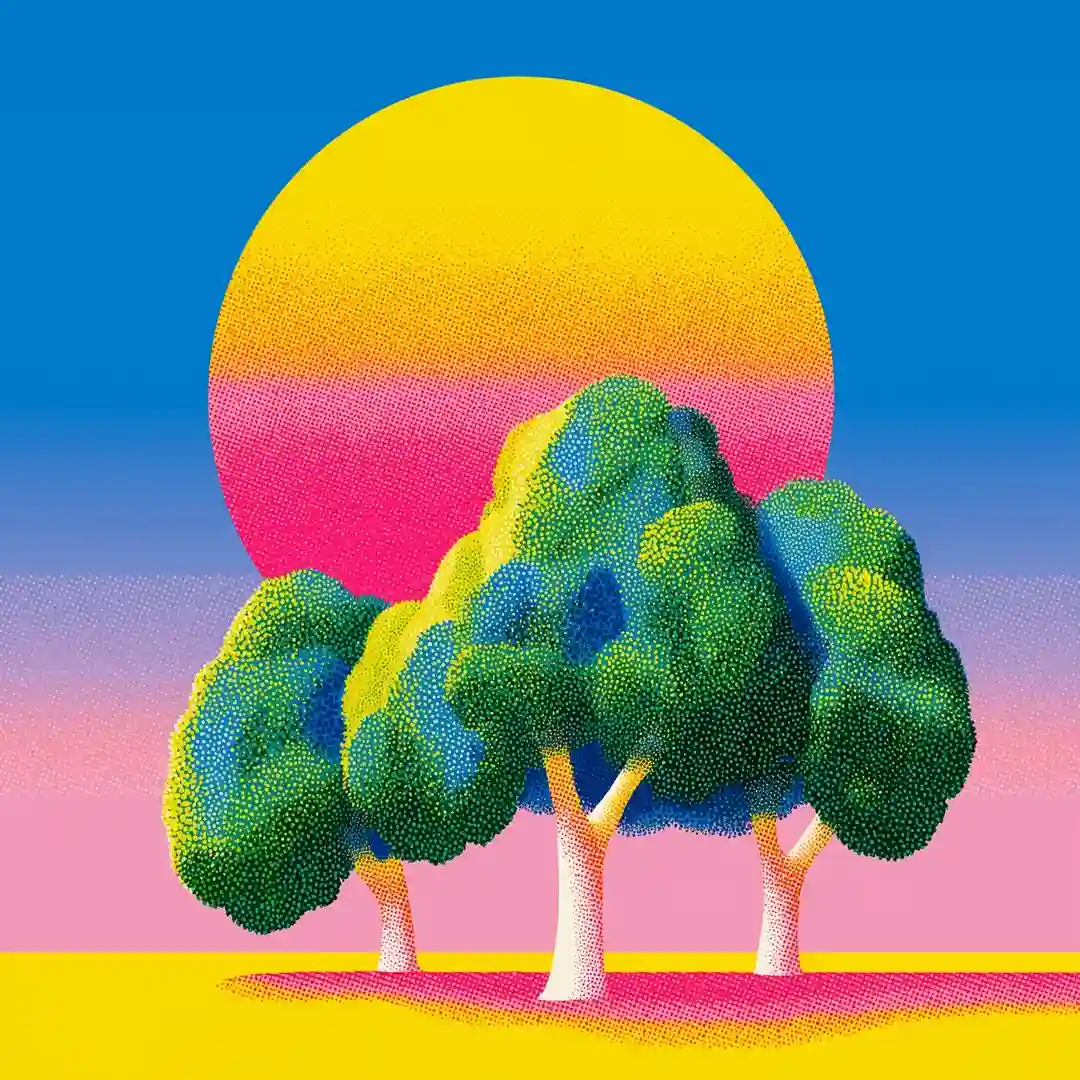 Timbo cover