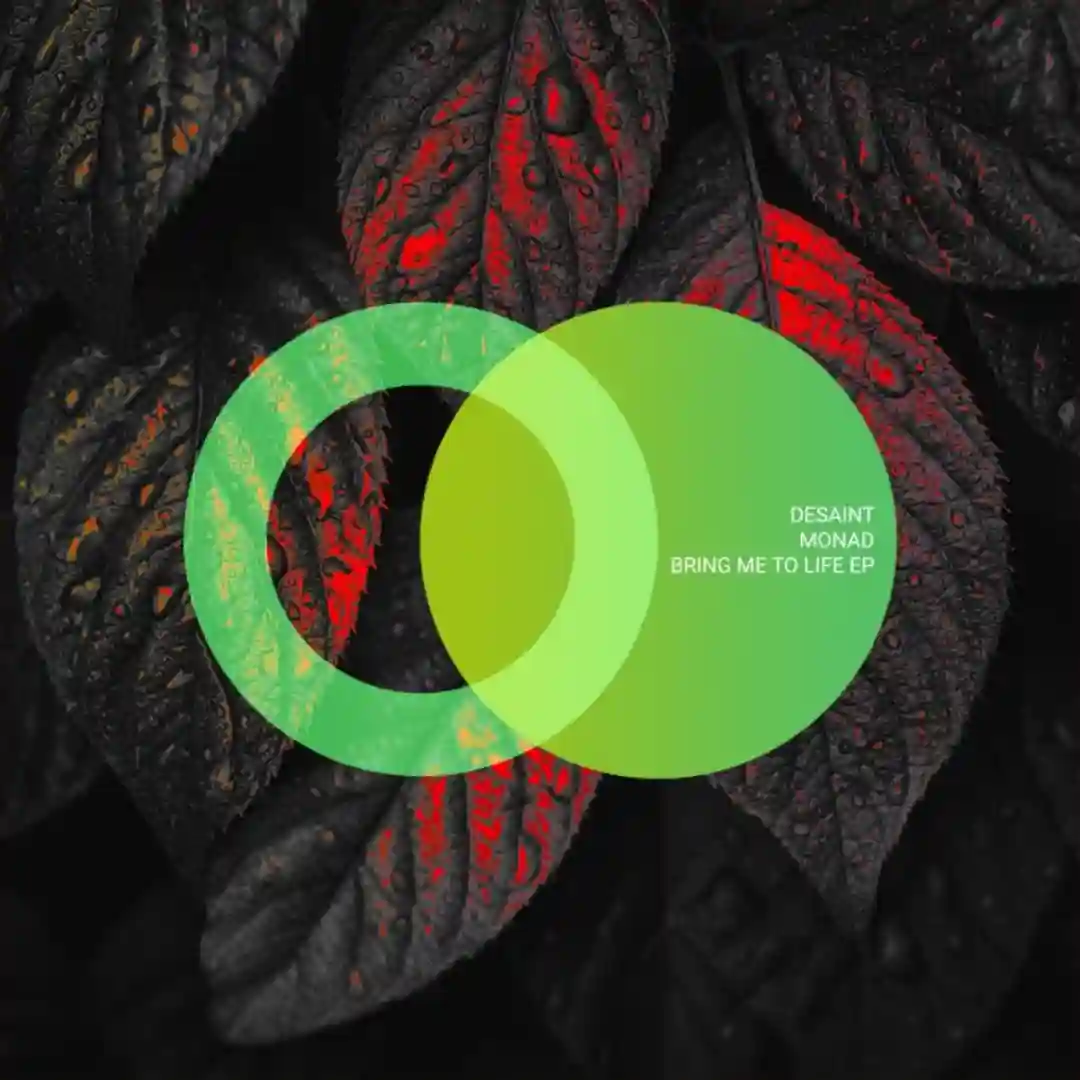System (Original Mix) cover