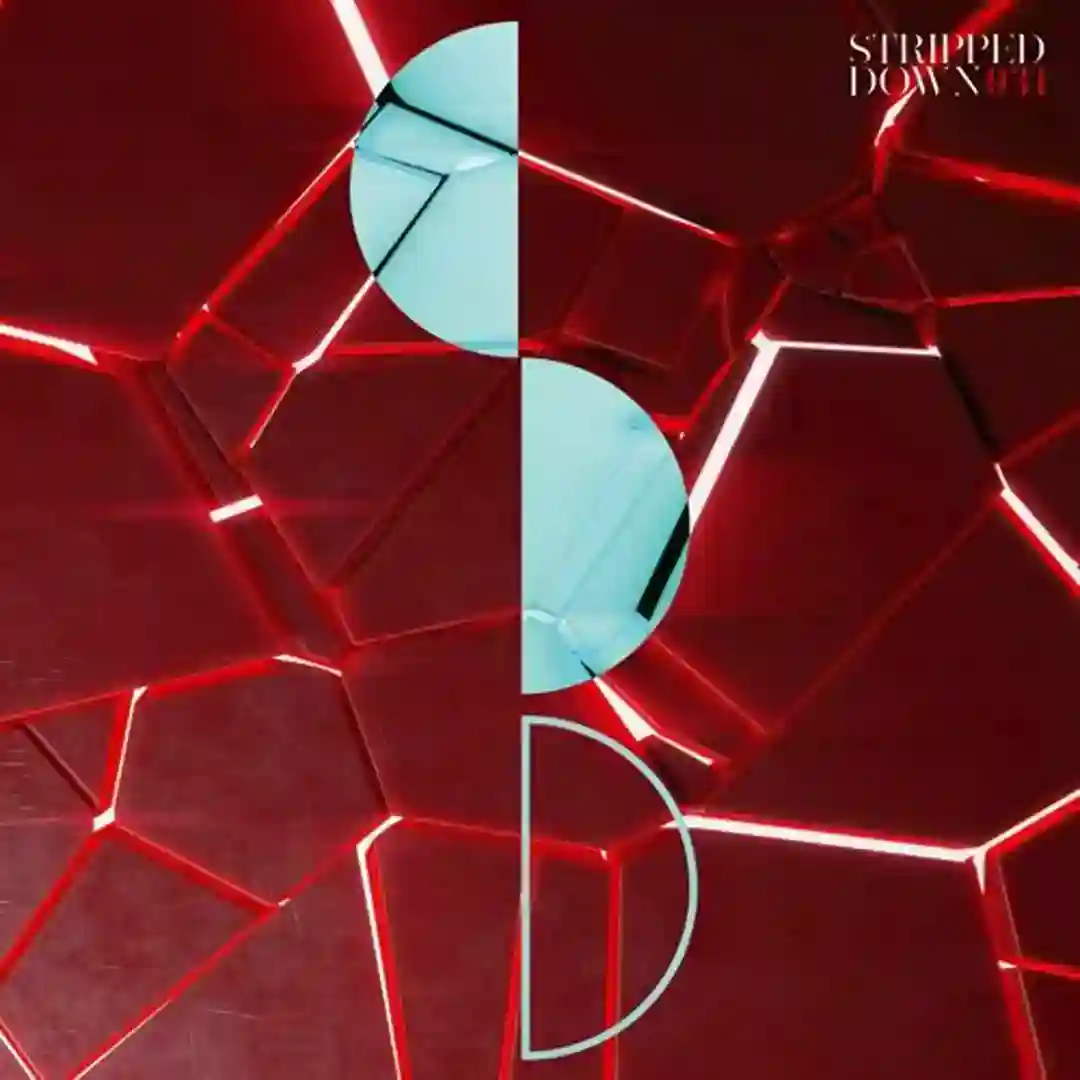The Remixes cover