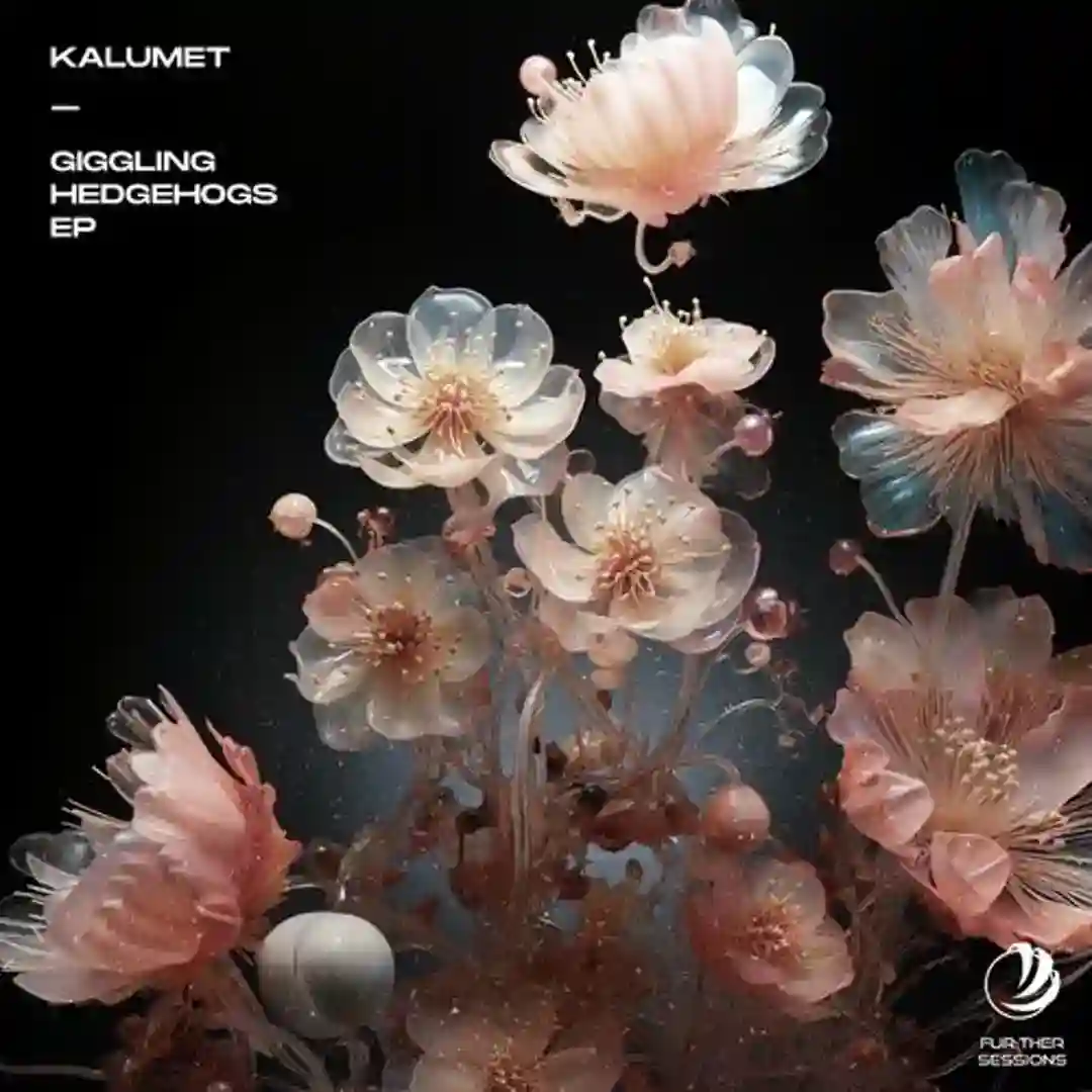 Meanwhile cover