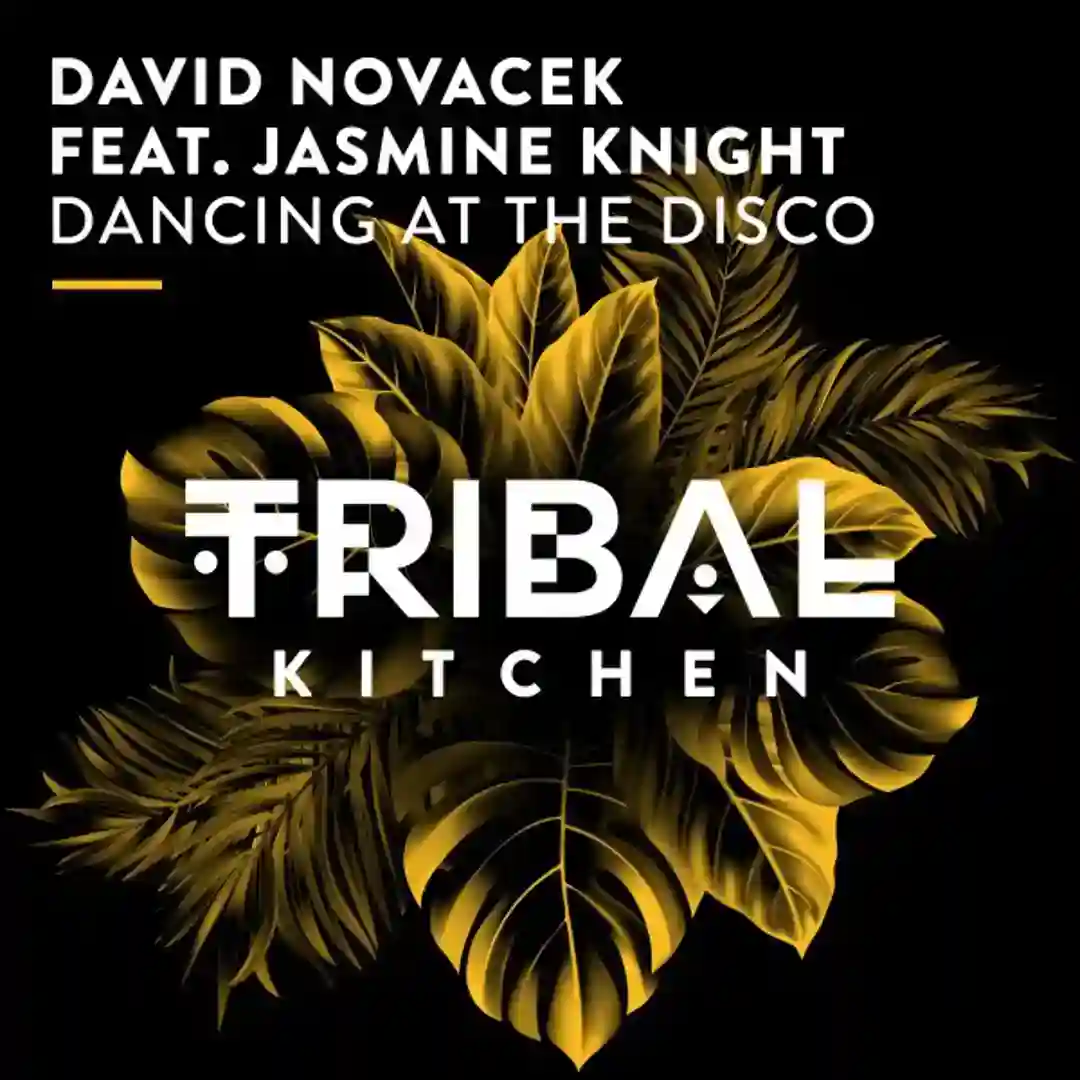 Dancing at the Disco cover