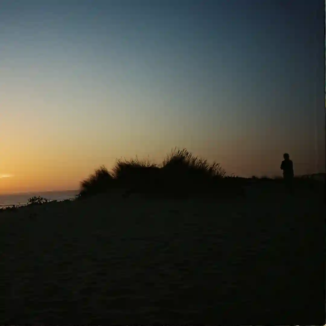 Zwin Corala (Original Mix) cover