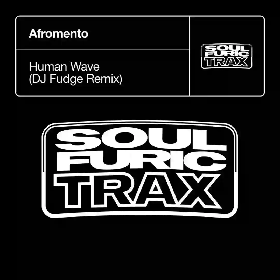 Human Wave (DJ Fudge Extended Remix) cover