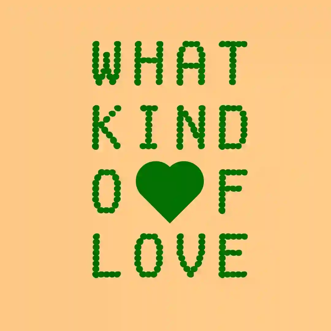 What Kind Of Love (Extended Mix) cover