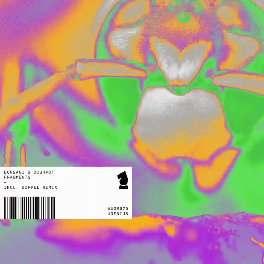 Whole Again (Doppel Remix) cover