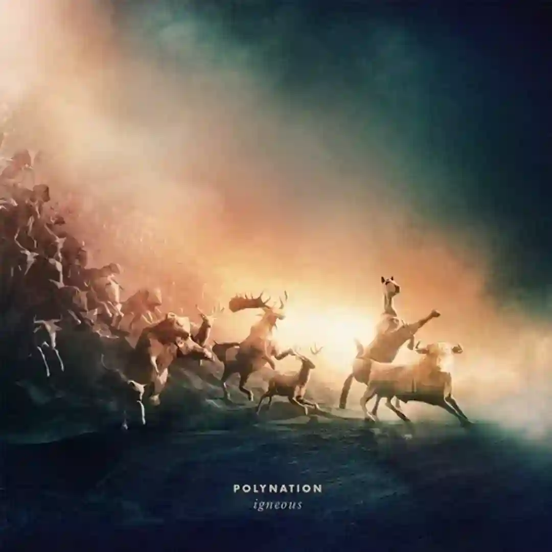 Muriatic (Album Version) cover
