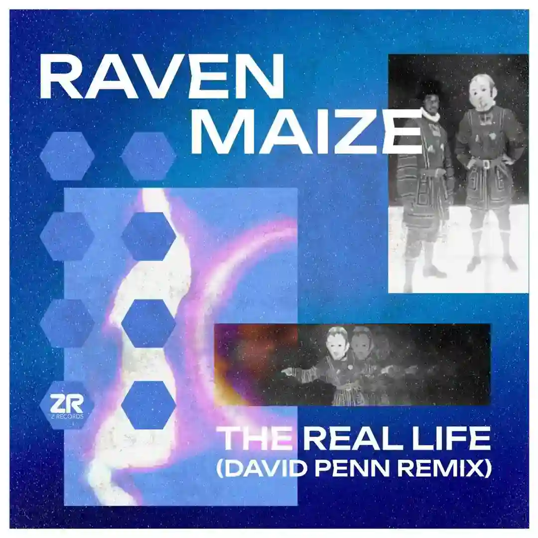 The Real Life (David Penn Extended Remix) cover