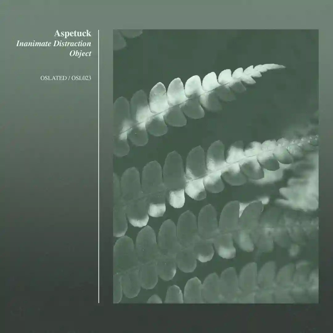 Microscopic Moments Of Focus cover