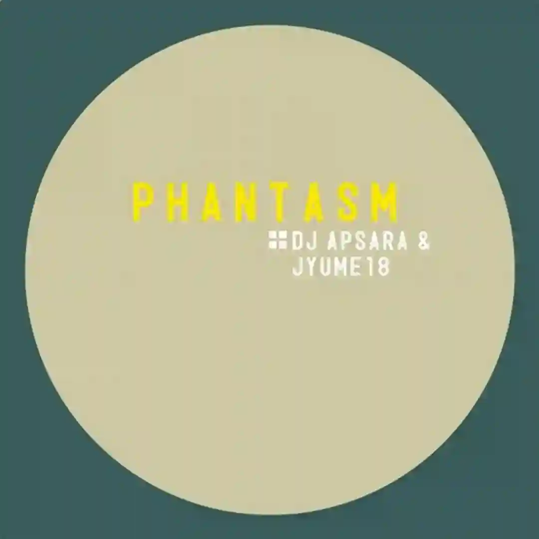 Phantasm (SINACID Classic Techno Remix) cover