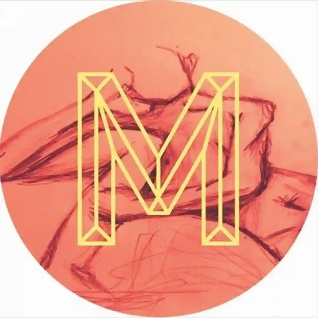 Organik (Original Mix) cover
