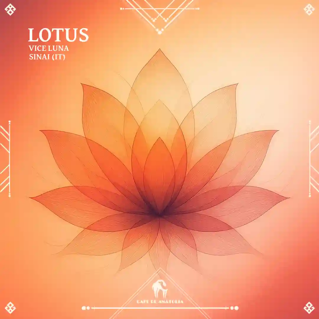 Bloom (Original Mix) cover