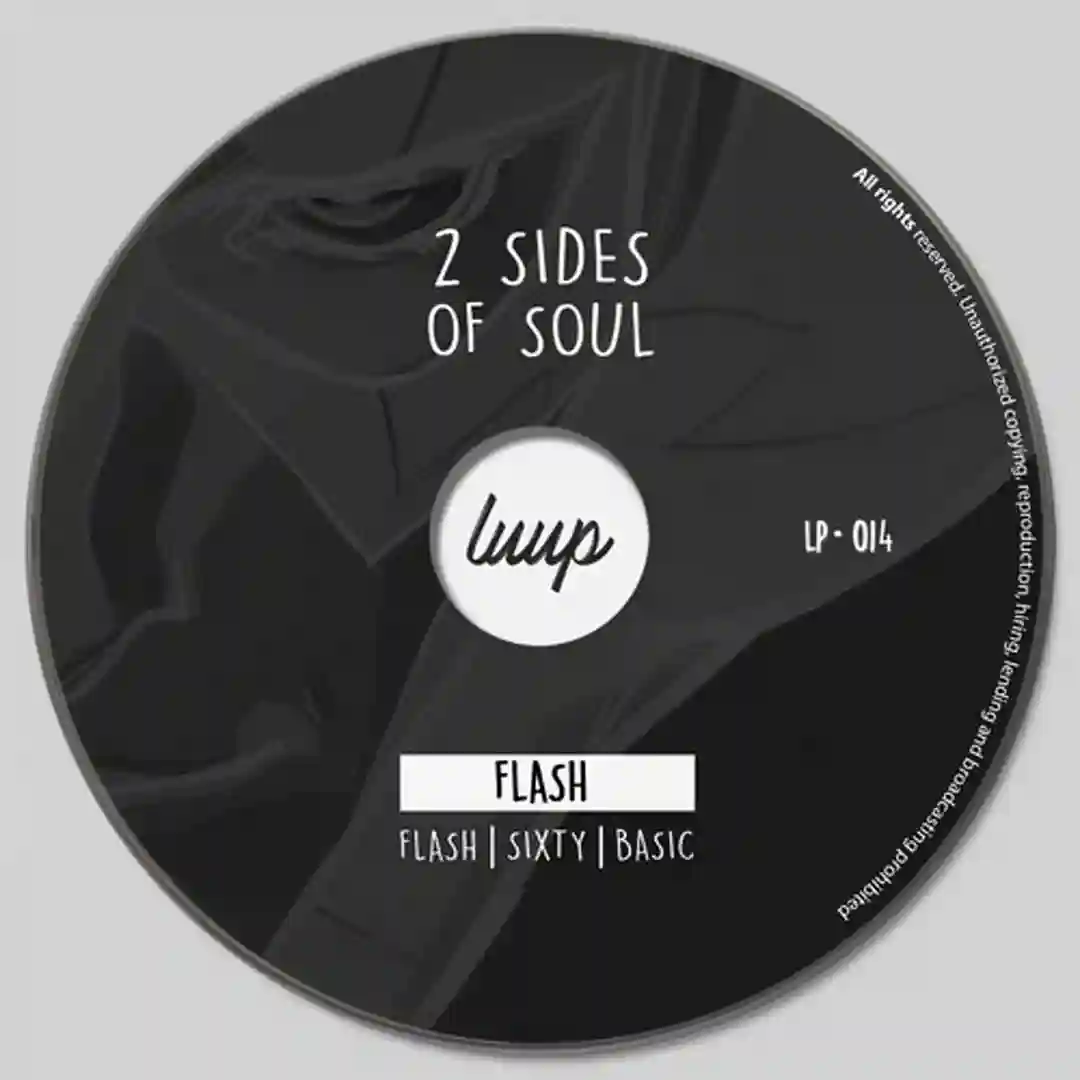 Flash (Original Mix) cover
