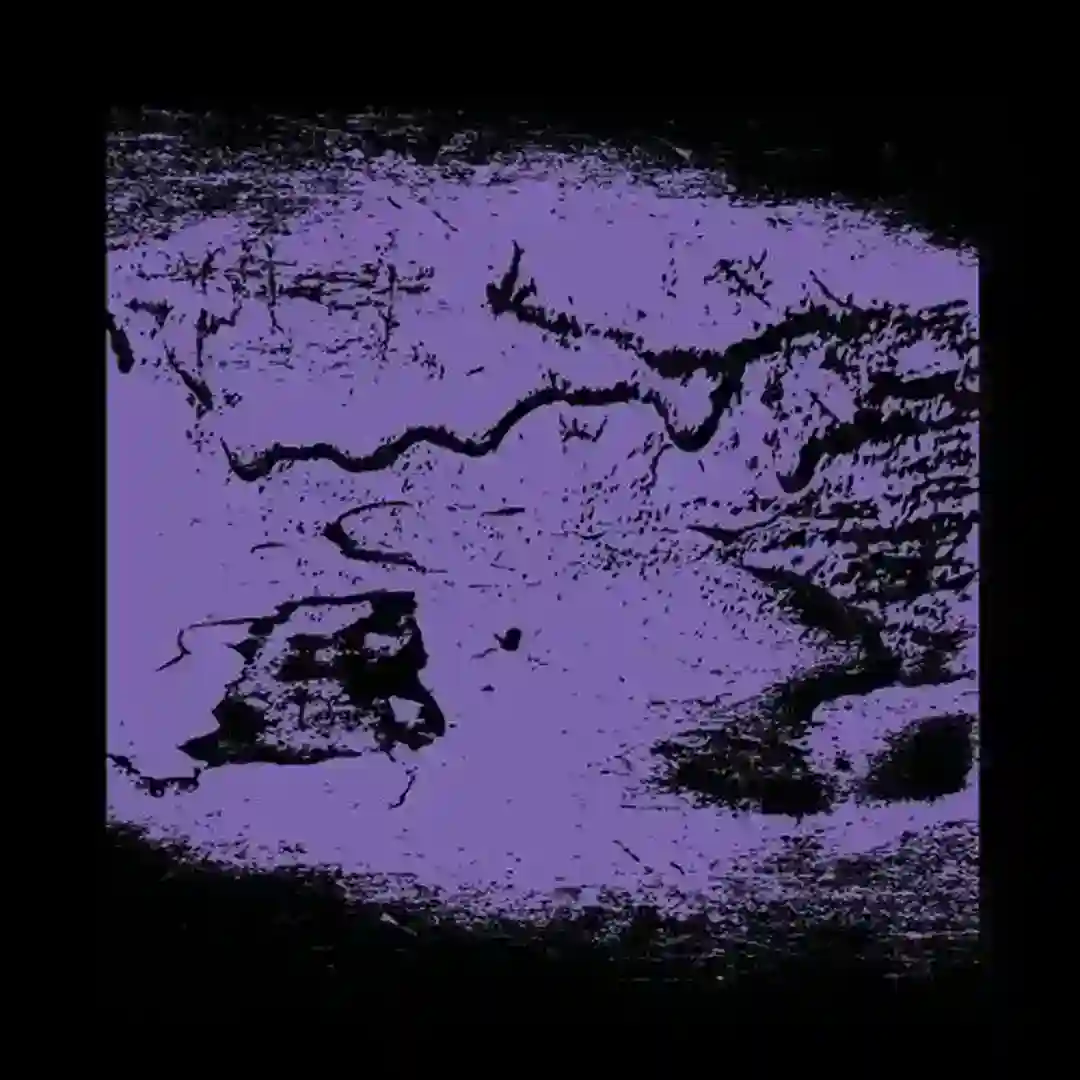 Dehumanized (Original Mix) cover