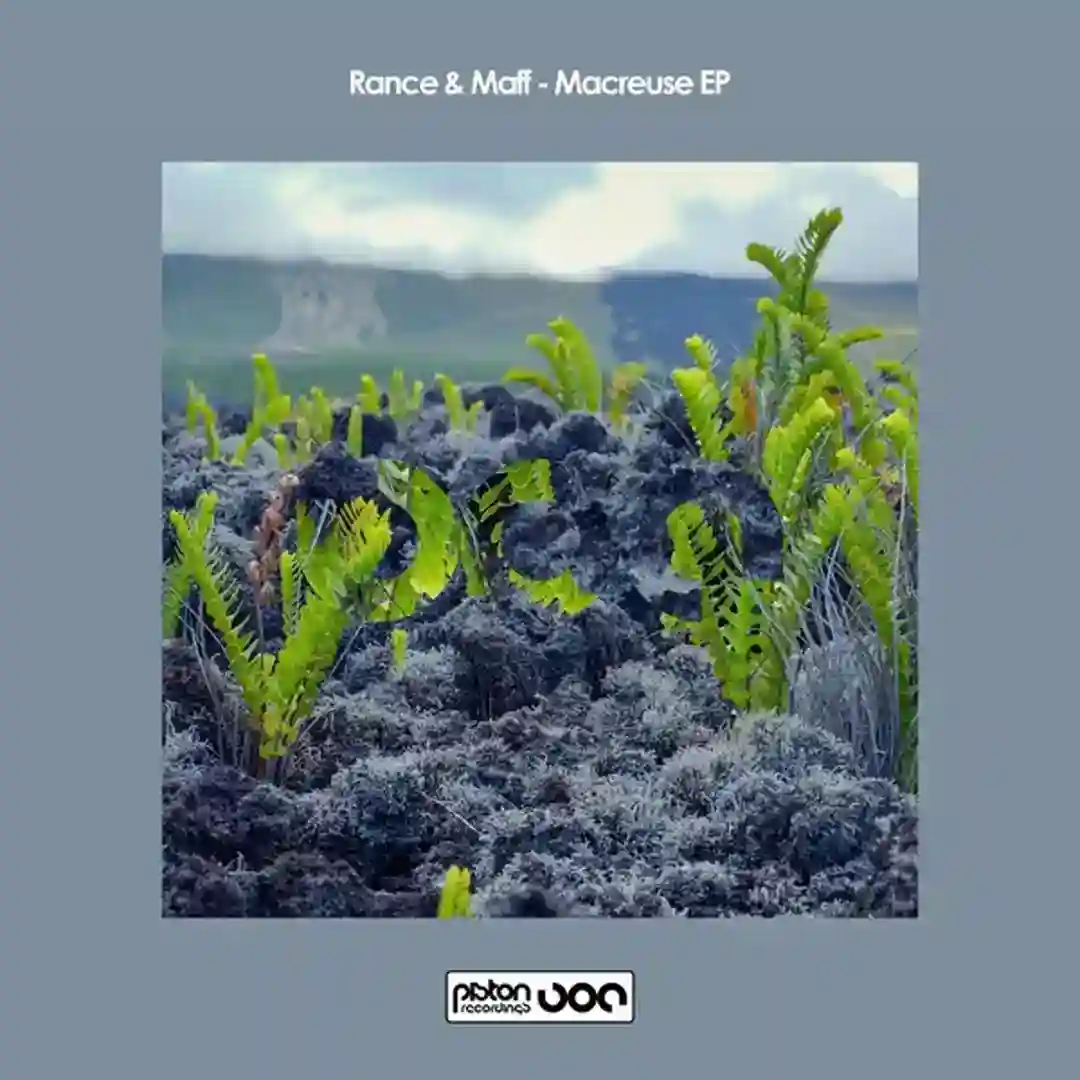 Woman FM Bass (Original Mix) cover