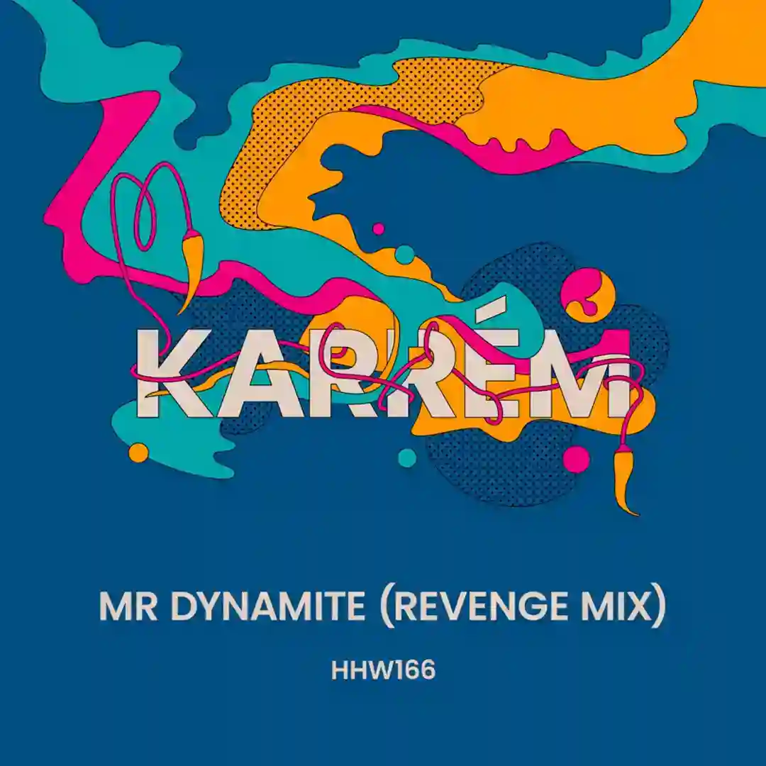 Mr Dynamite (Extended Revenge Mix) cover