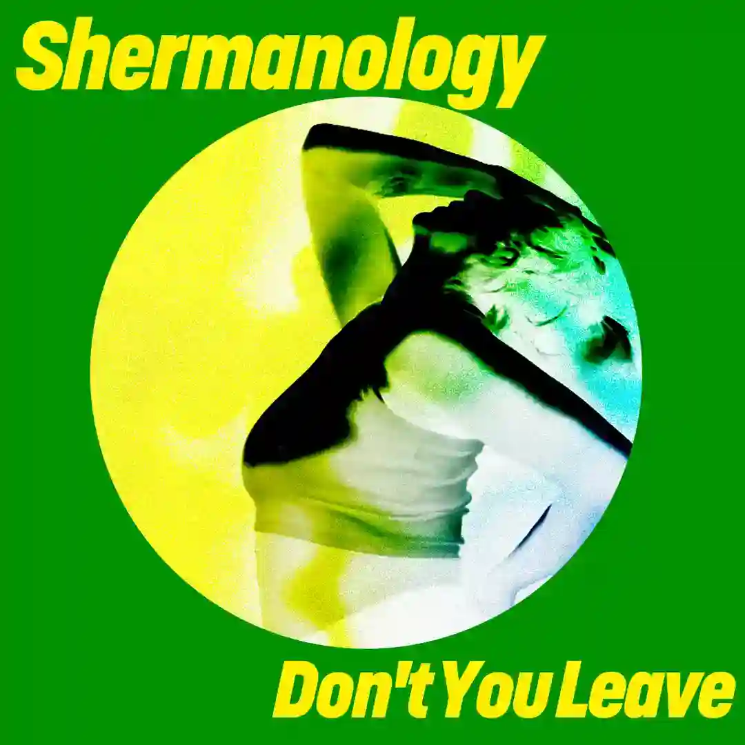 Don't You Leave cover