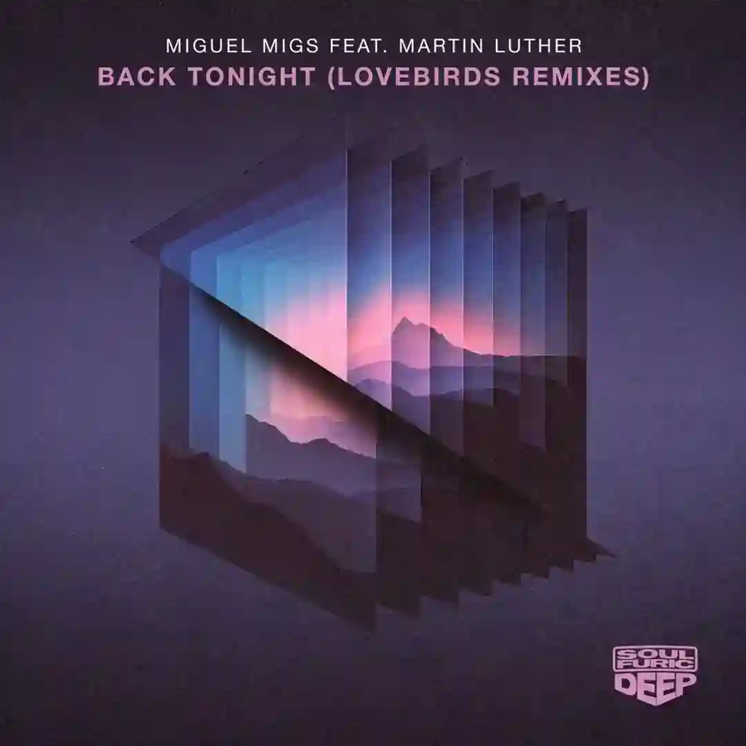 Back Tonight (feat. Martin Luther) (Lovebirds Disco Sketch Extended Mix) cover