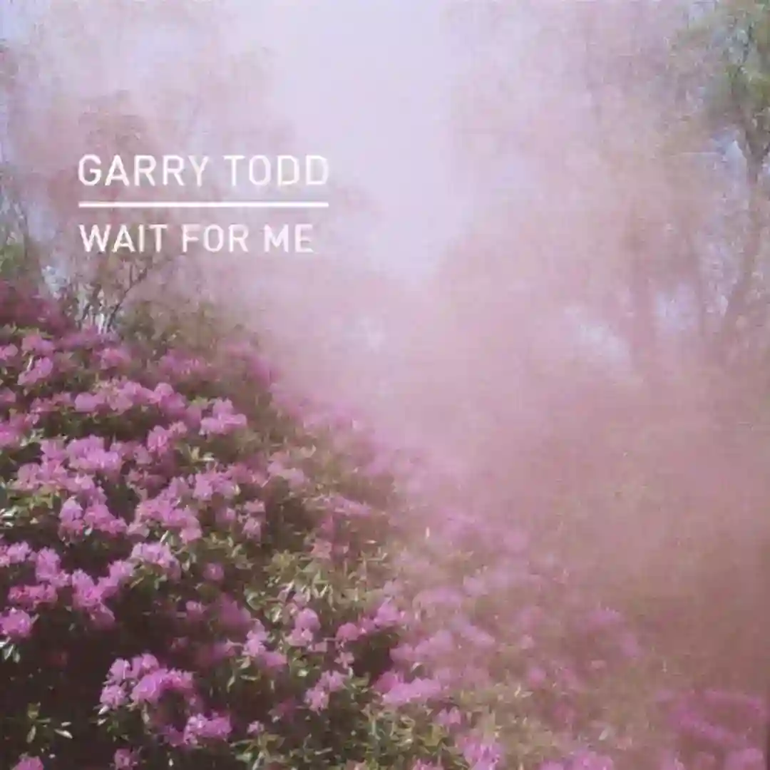 Wait For Me (Zoo Brazil Remix) cover