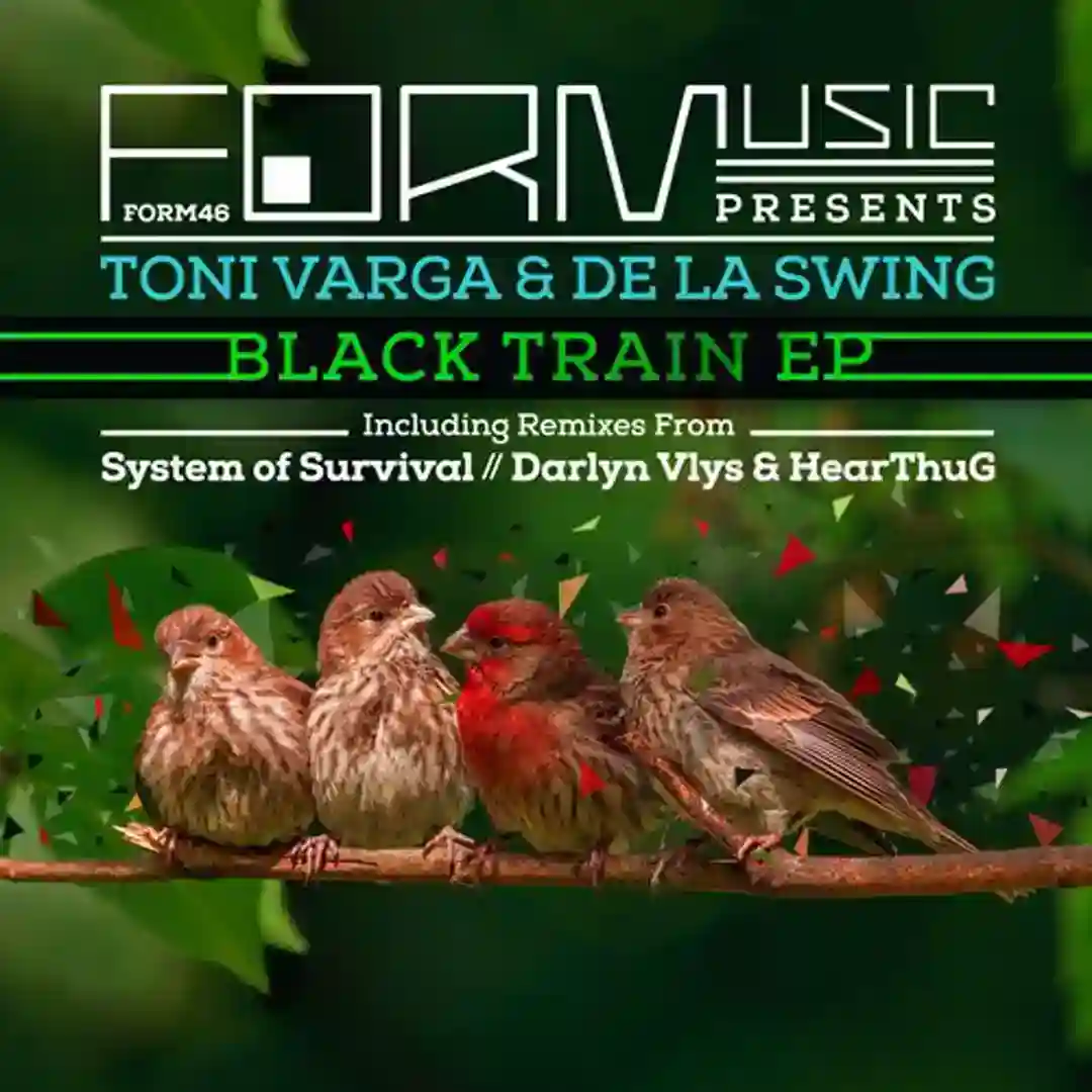 Black Train (Original Mix) cover