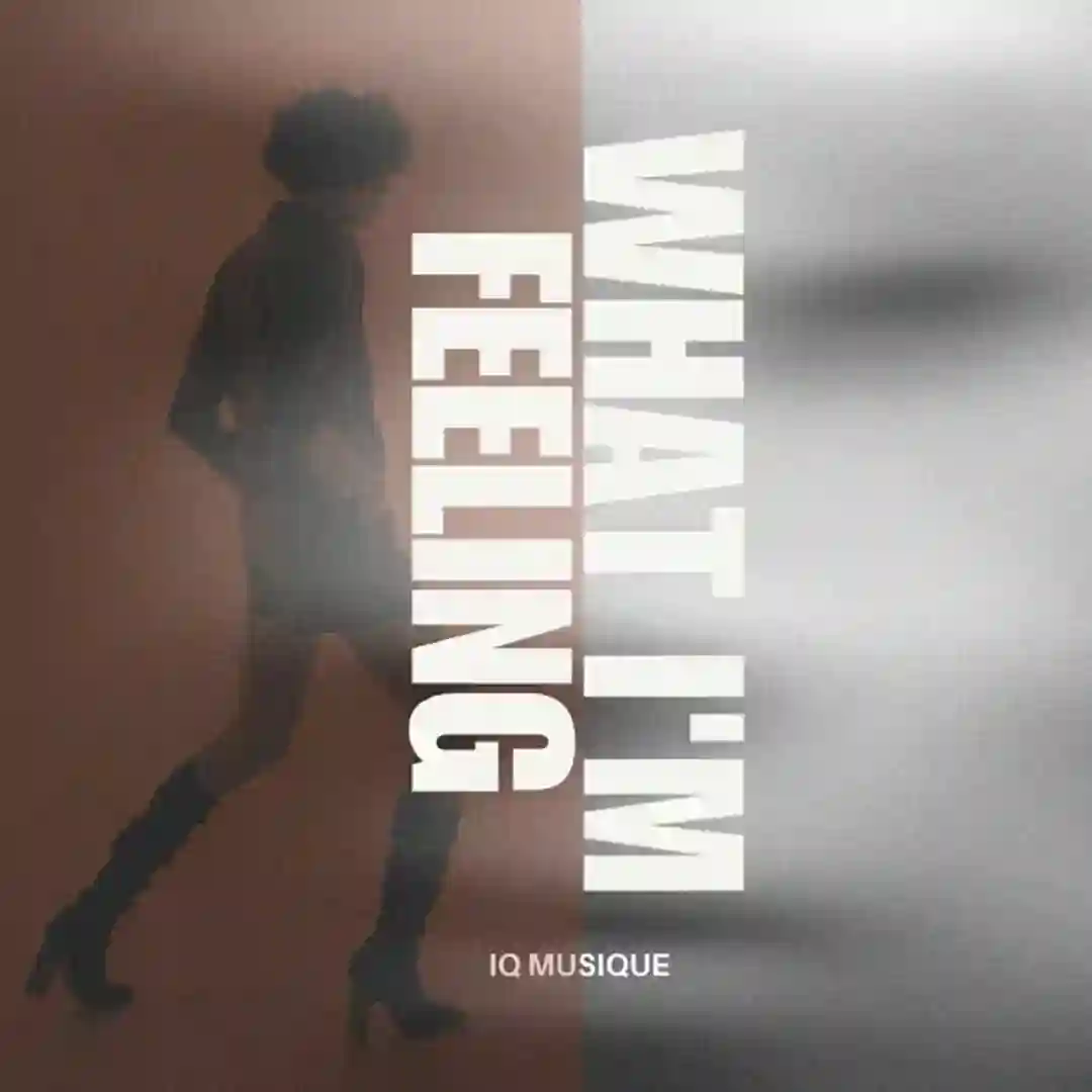 What I'm Feeling (Main Vocal Mix) cover