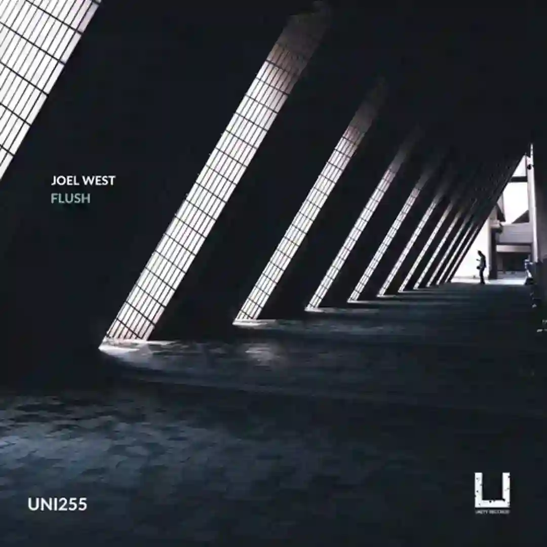 Flush (Original Mix) cover