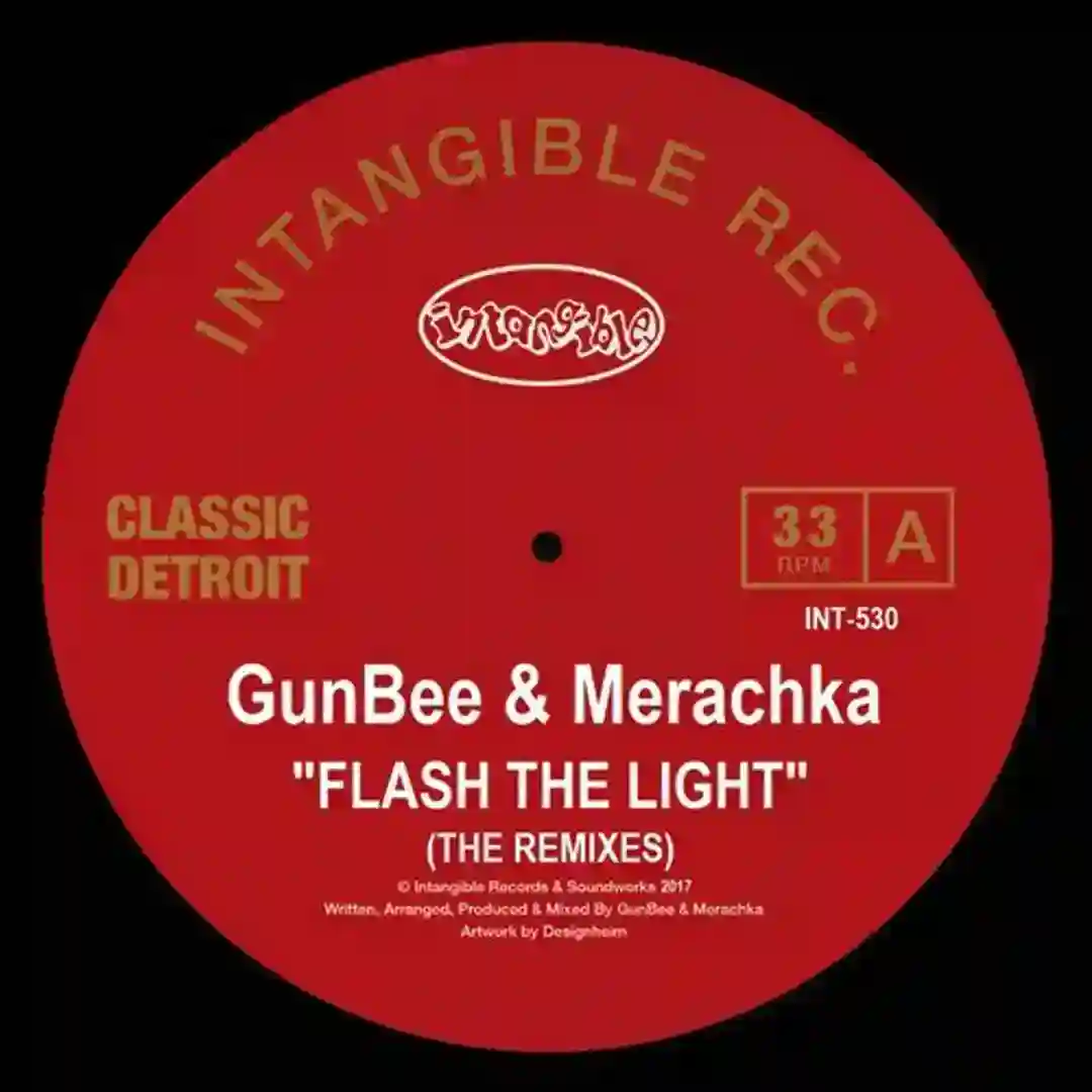 Flash the Light (Remixes) cover