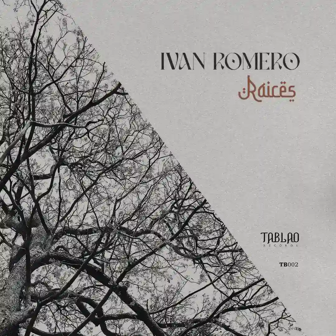 Raices (Extended Mix) cover