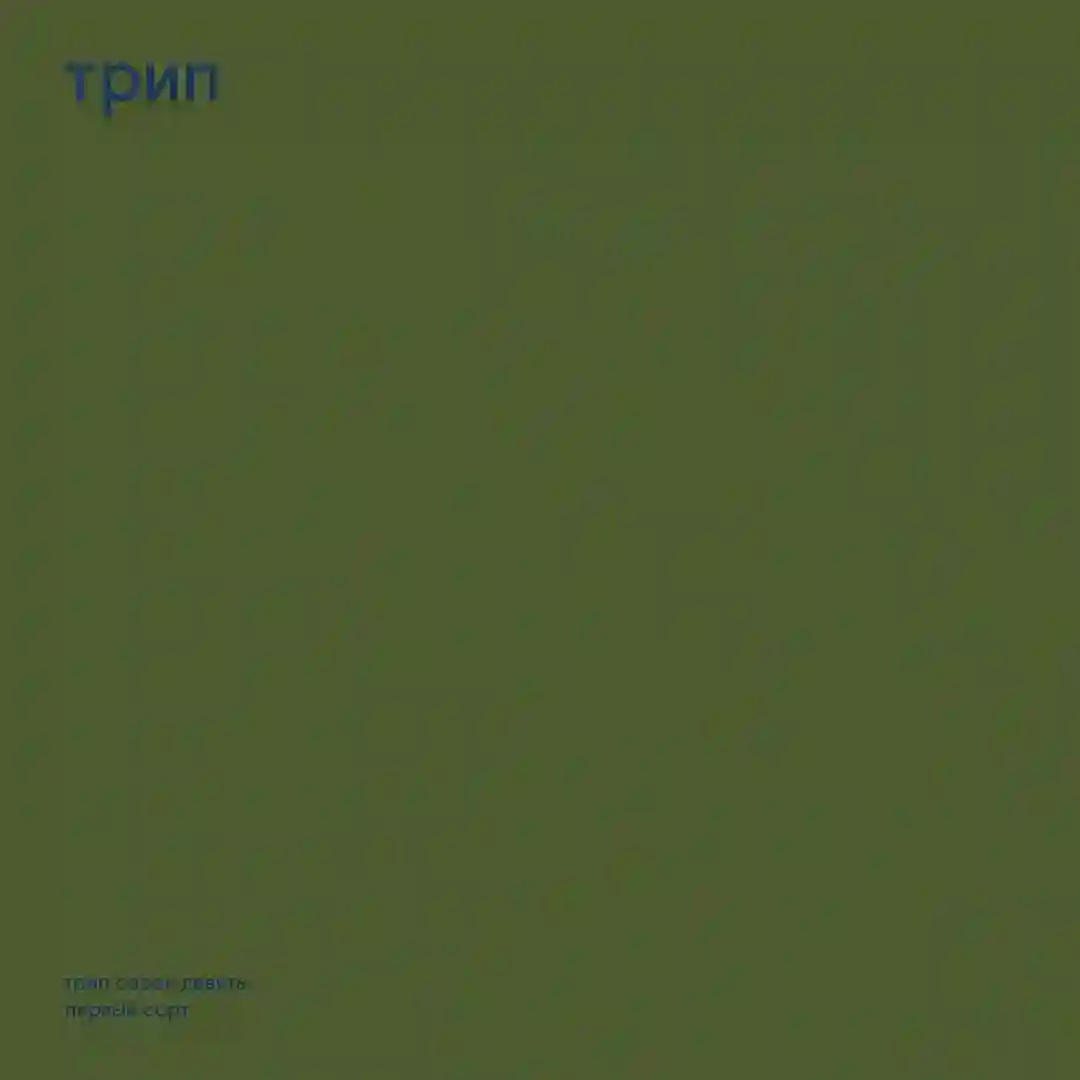 prima sort (Original Mix) cover