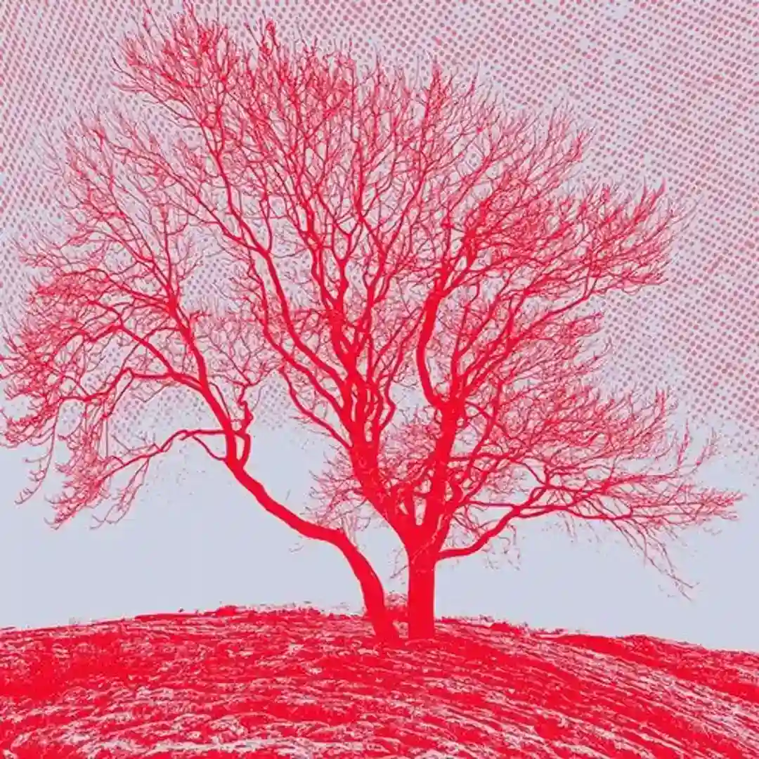 Baum cover